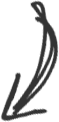 Image of a hand drawn arrow