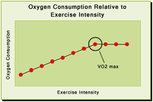 Image result for vo2 max