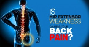Have you ever considered the role your hip extensors may be playing in your low back pain? We look at three studies evidence of how this may be the case.
