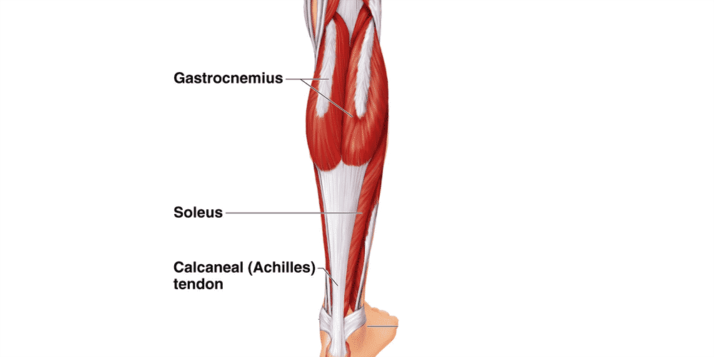 Calf Muscle Strain, Lower Extremity