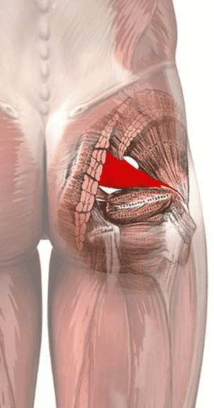 Finding Relief with a Piriformis Massage Tool: Your Guide to