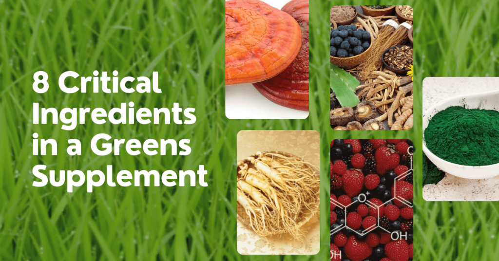 Iron Deficiency In Runners Diagnose, Treat and Prevent