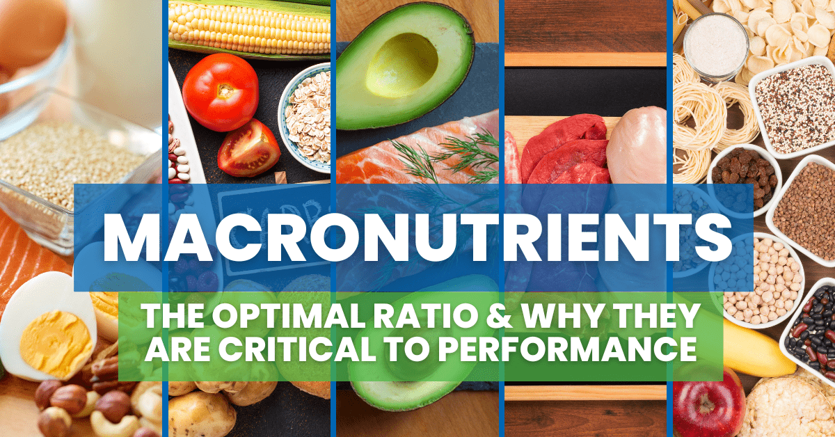 Macronutrients What is the Optimal Ratio and Why They are Critical to
