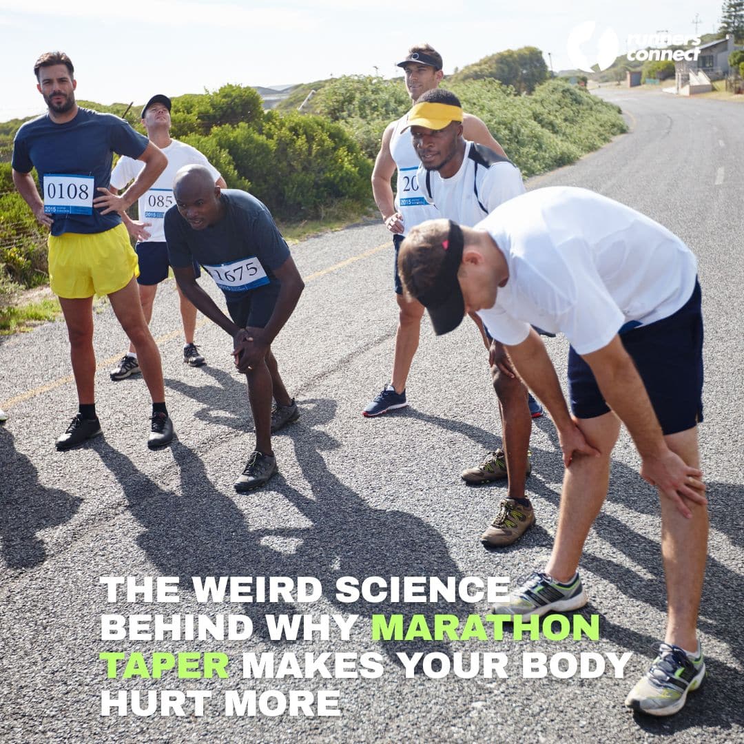 Taper Madness: Why 78% of Marathoners Get Phantom Pains (And What to Do About It)
