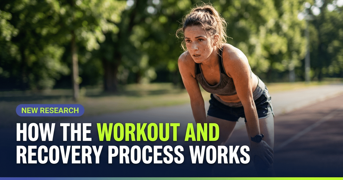 How the Workout and Recovery Process Works - Runners Connect
