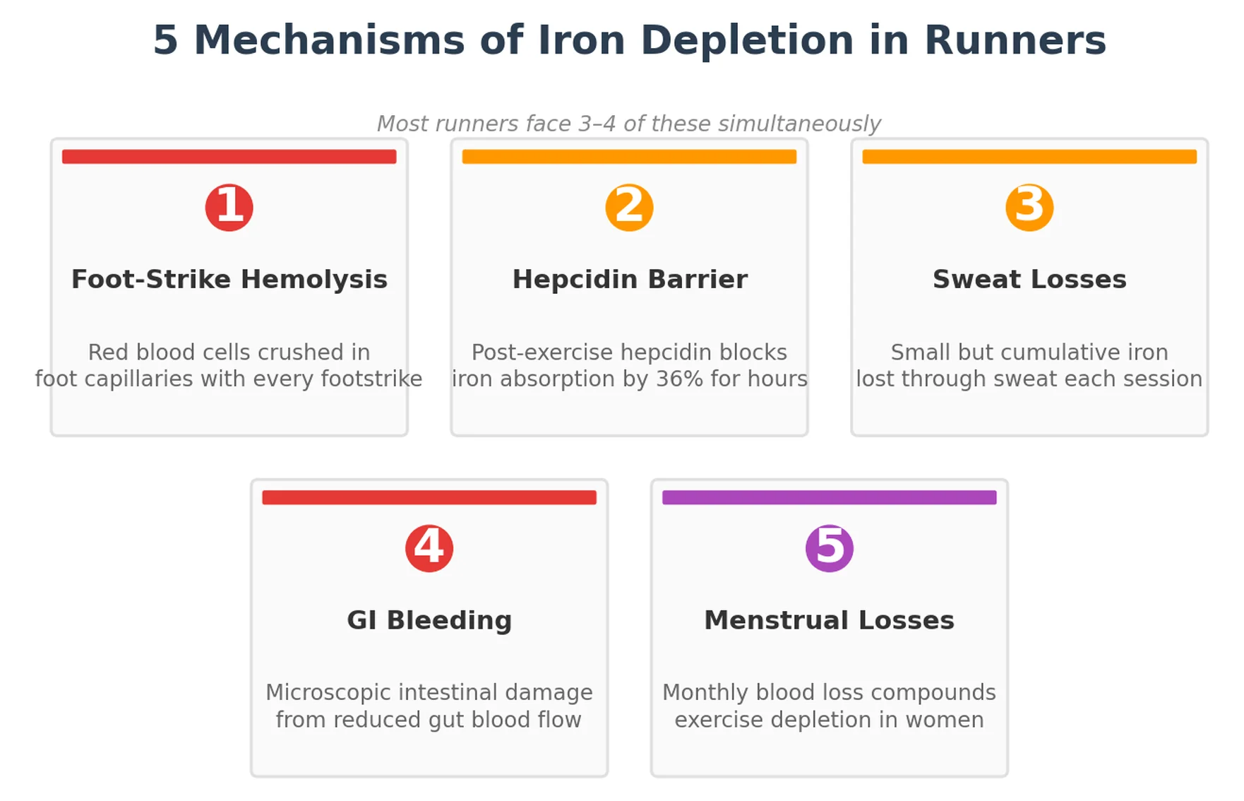 Infographic showing 5 mechanisms that deplete iron stores in runners