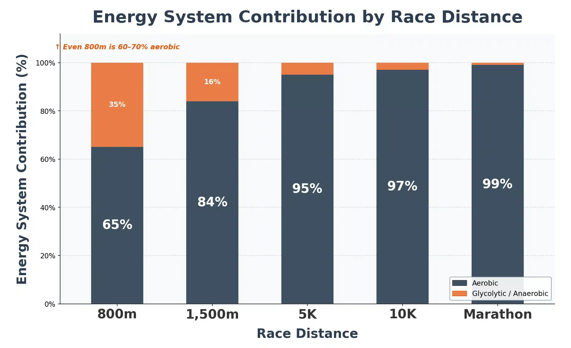 Stacked bar chart showing aerobic energy system contributes 65% at 800m rising to 99% at marathon distance