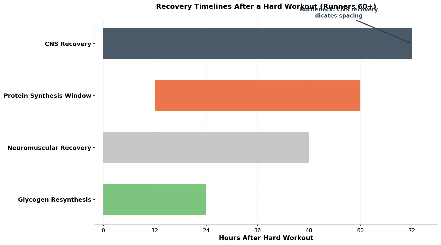 Timeline chart comparing recovery times for neuromuscular fatigue, glycogen, protein synthesis, and central nervous system in older runners after a hard workout
