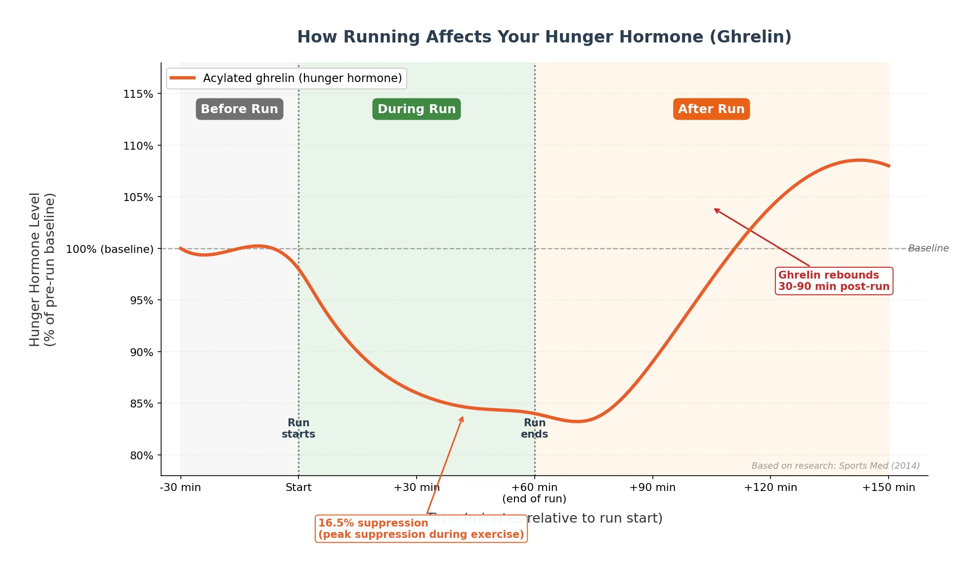 Chart showing ghrelin (hunger hormone) levels before, during, and after a run. Ghrelin drops 16.5% during exercise then rebounds 30-90 minutes after.