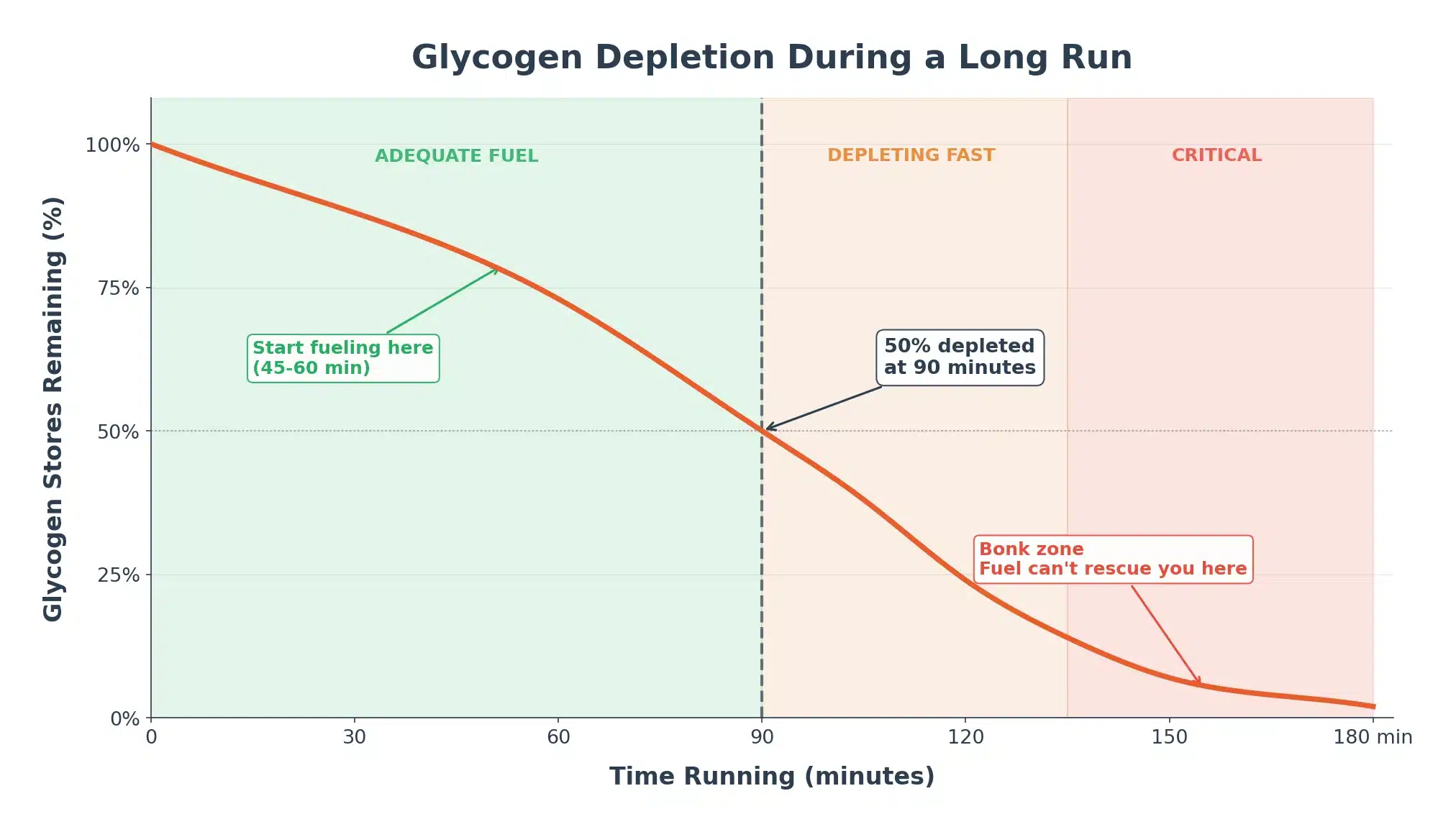 Glycogen depletion during a long run — chart showing stores dropping from 100% to near zero over 180 minutes with key zones marked