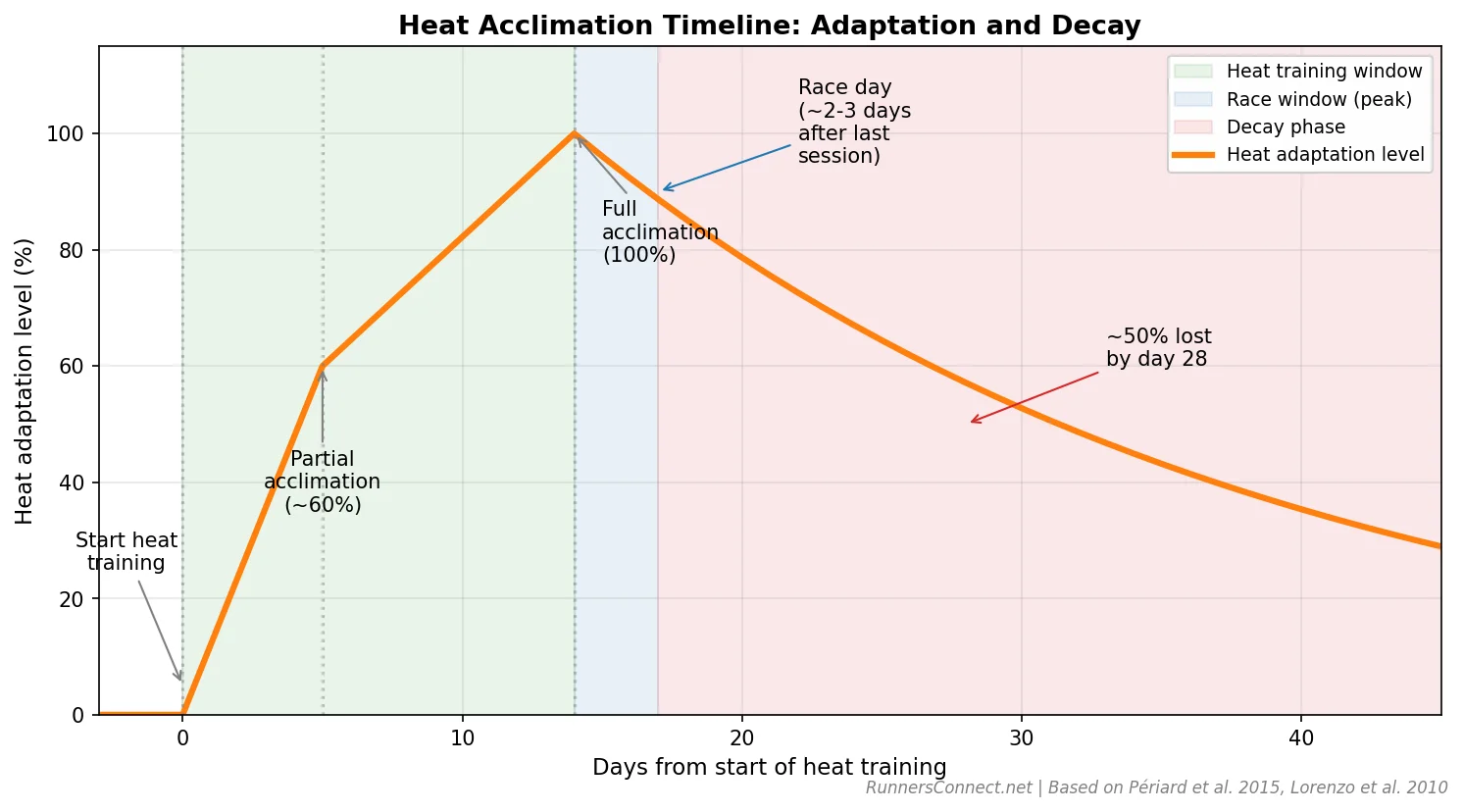 Heat acclimation timeline showing rapid initial gains, full acclimation by day 14, and decay curve over 4 weeks