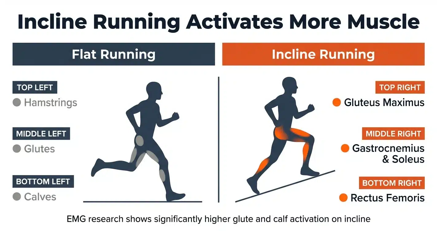 Comparison of muscle activation during flat running versus incline running showing increased glute and calf activation