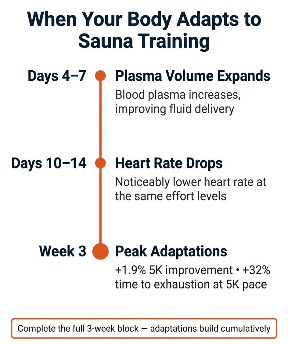 sauna training results timeline — week by week adaptations plasma volume heart rate VO2max