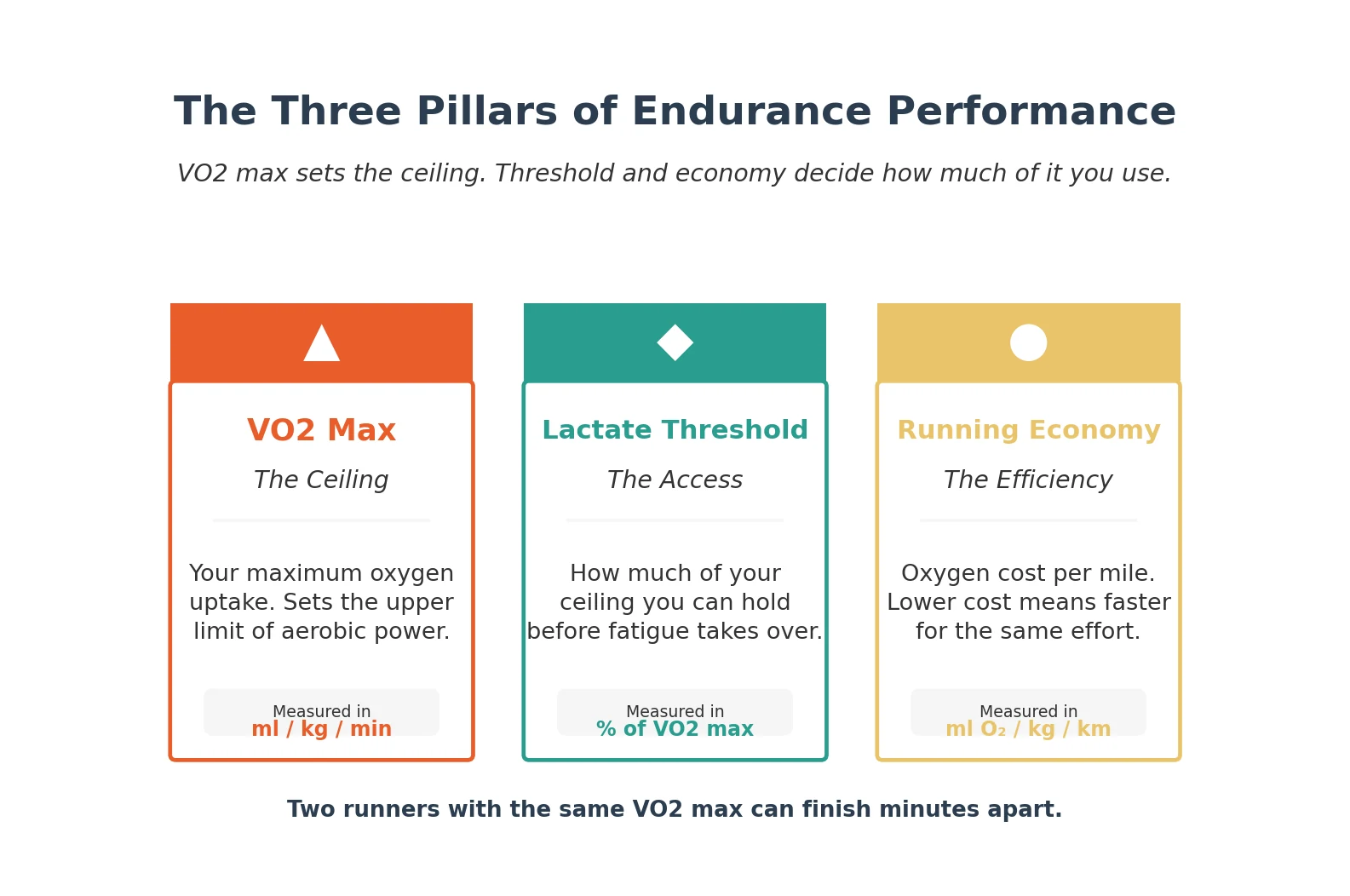 Three pillars of endurance performance: VO2 max, lactate threshold, running economy