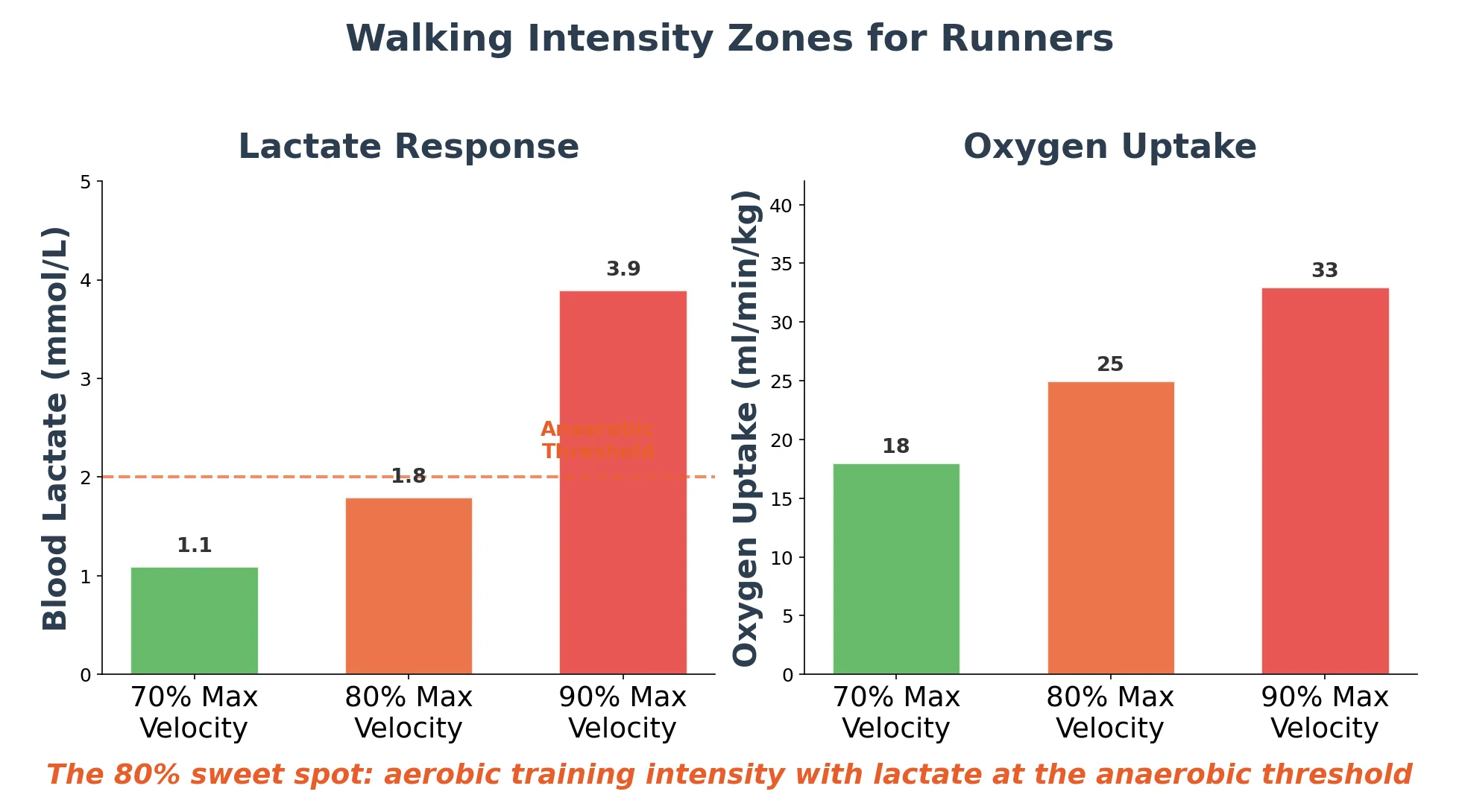 Chart showing lactate response and oxygen uptake at different walking intensities for runners