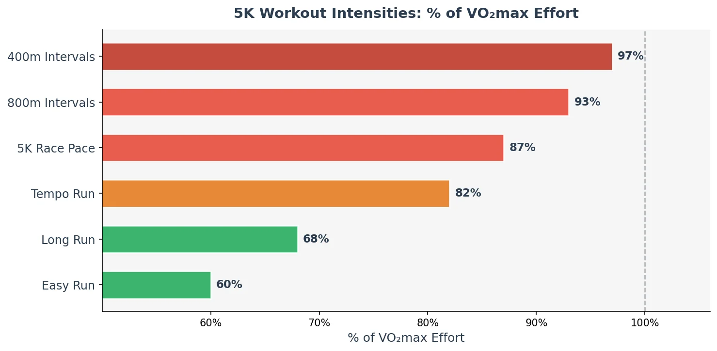 5K workout intensities as percentage of VO2max effort by workout type