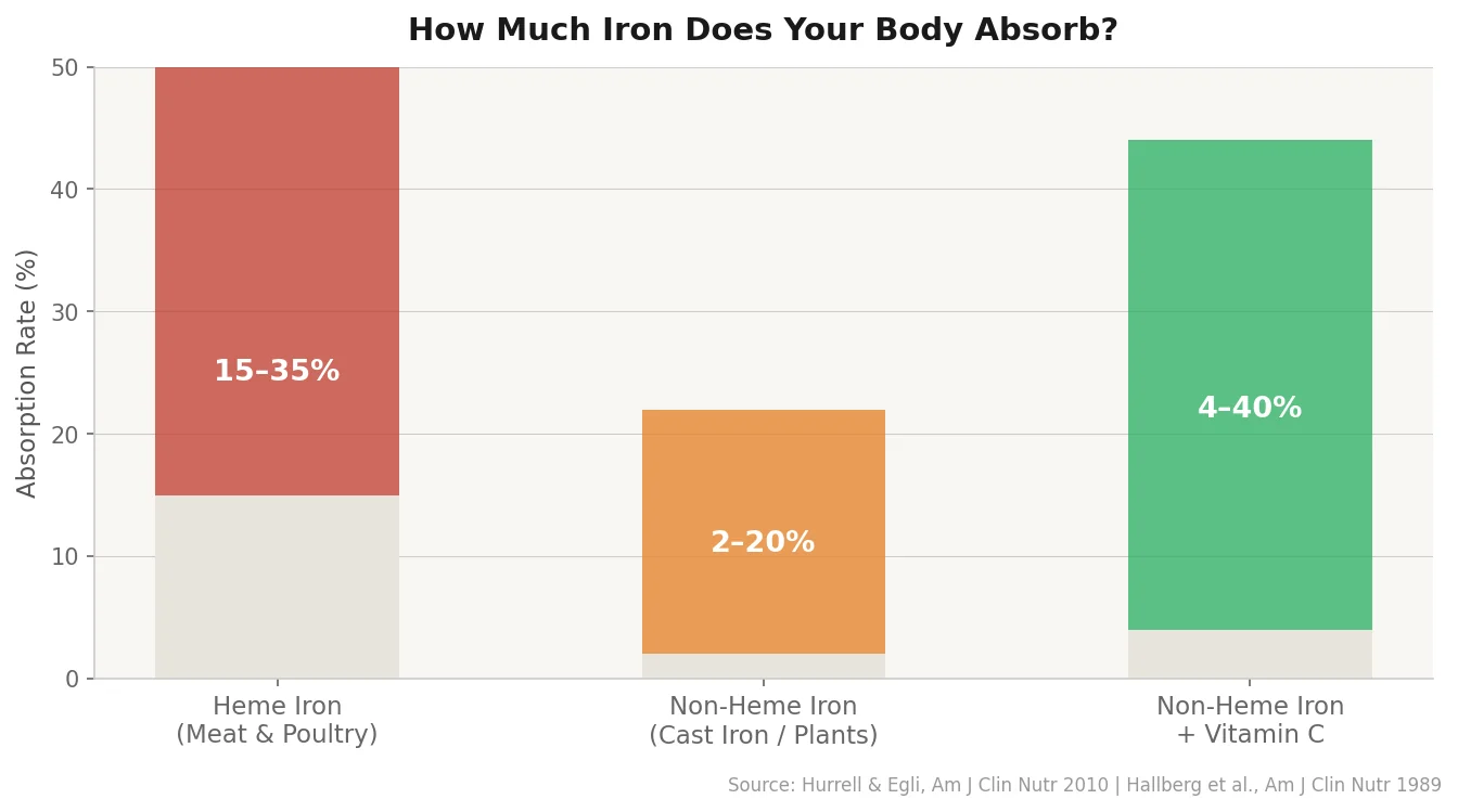 Bar chart comparing iron absorption rates: heme iron 15-35%, non-heme iron 2-20%, non-heme iron plus vitamin C 4-40%
