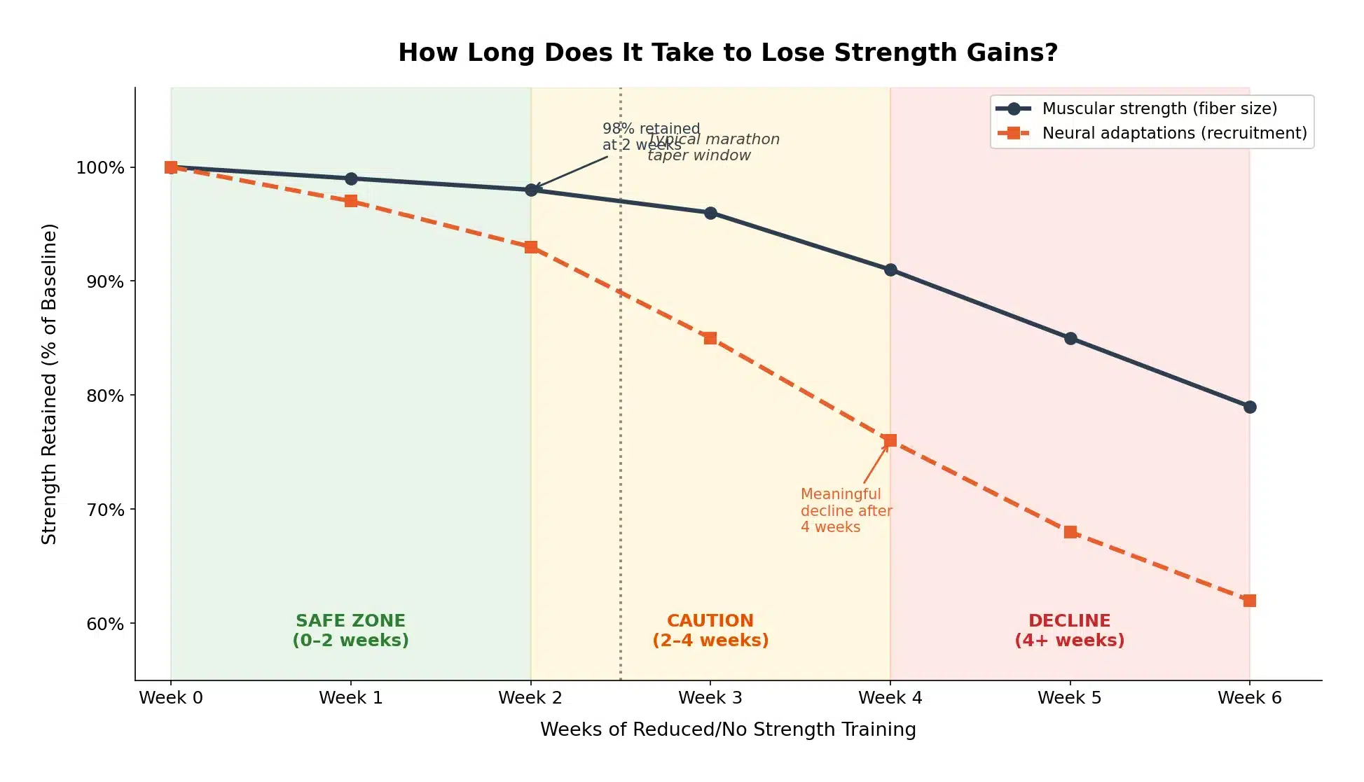 Chart showing strength retention over weeks of detraining for marathon runners