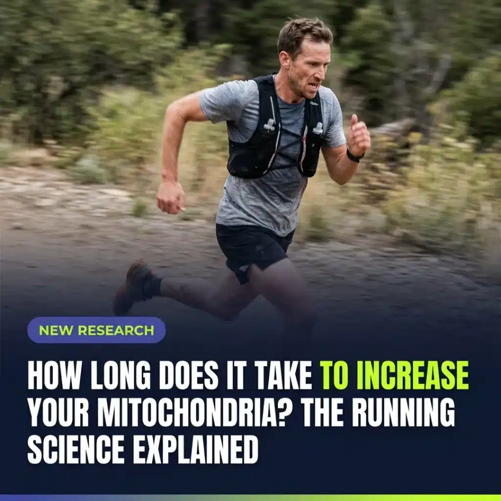 Featured image for: How Long Does It Take to Increase Your Mitochondria? The Running Science Explained