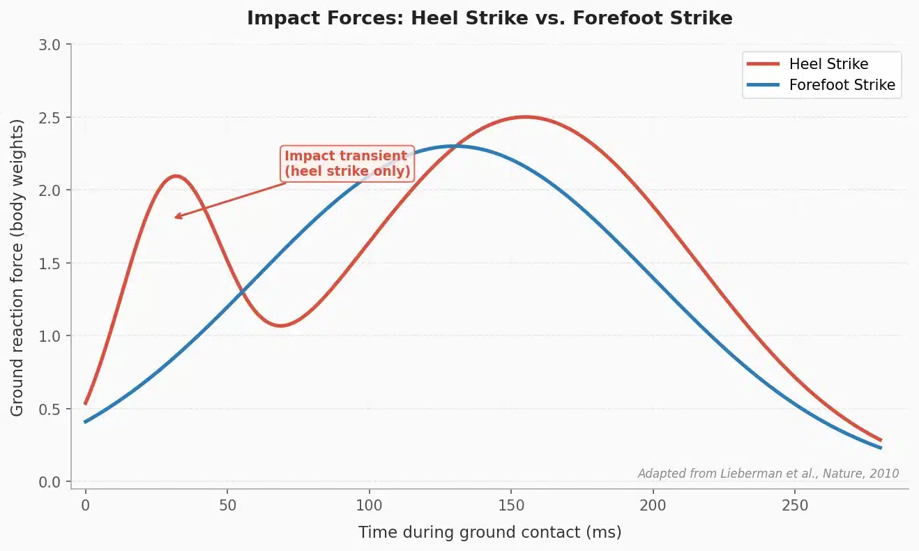 Ground reaction force comparison between heel strike and forefoot strike running patterns, showing the impact transient spike in heel striking