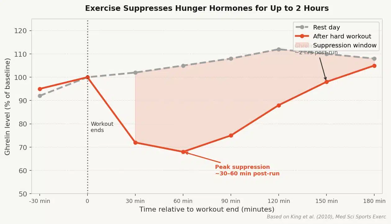 Chart showing ghrelin (hunger hormone) suppression after exercise — levels drop up to 30% and stay suppressed for 2 hours post-workout