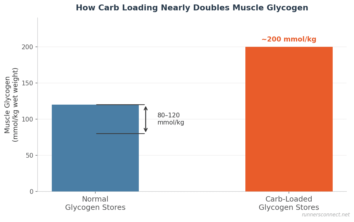 Bar chart comparing normal muscle glycogen stores (80-120 mmol/kg) versus carb-loaded stores (~200 mmol/kg)