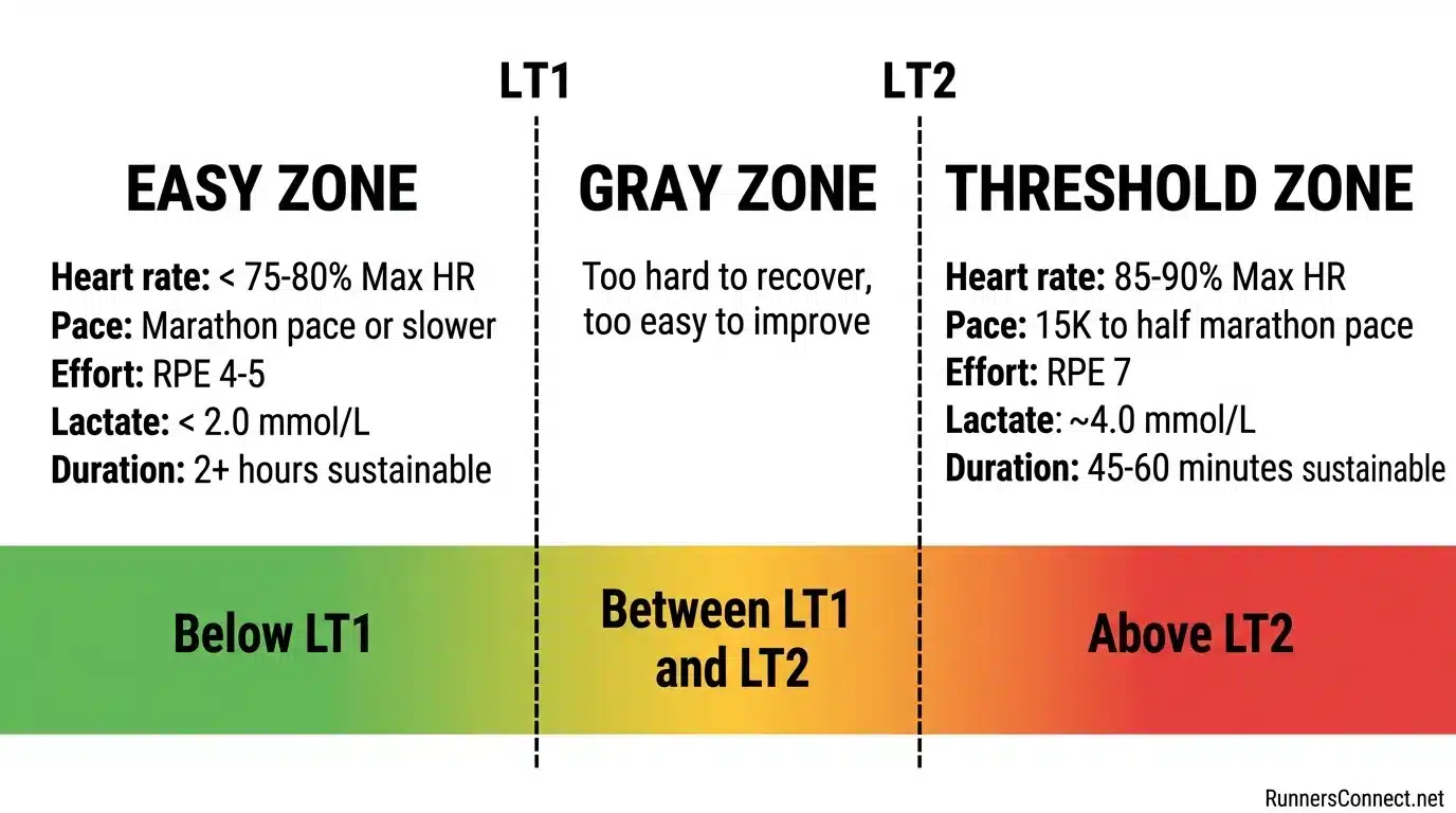LT1 vs LT2 training zones for runners showing heart rate, pace, effort, and lactate levels for easy zone, gray zone, and threshold zone