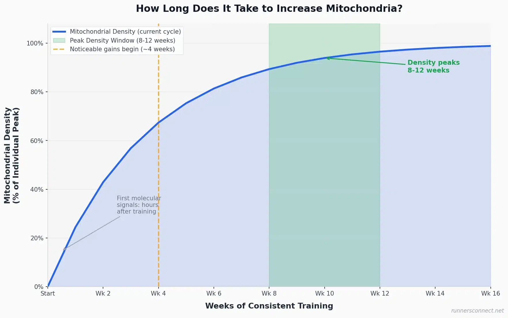 Chart showing mitochondrial density increases over 16 weeks of training, peaking at 8-12 weeks
