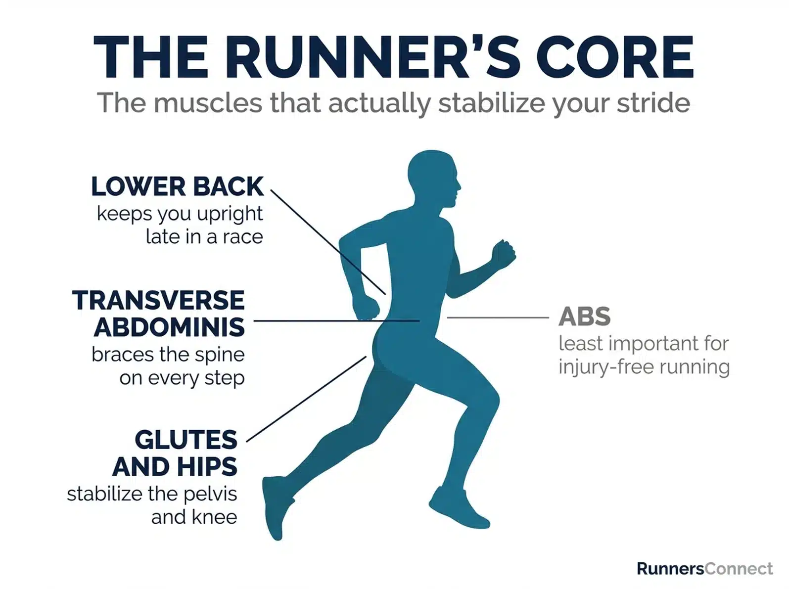 Diagram of the runner's core showing lower back, transverse abdominis, glutes and hips as the key stabilizers, with abs labeled least important