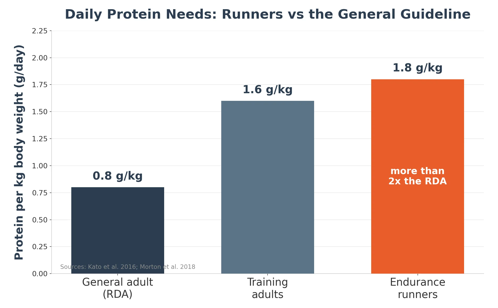 Bar chart of daily protein needs for runners: 0.8 g per kg for general adults, 1.6 for training adults, and 1.8 for endurance runners