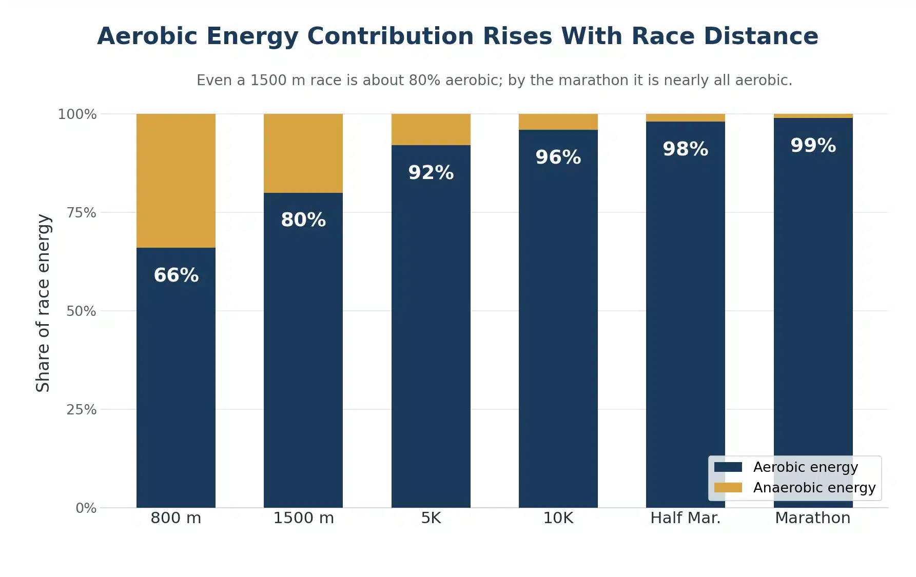 Stacked bar chart showing aerobic energy contribution rising from about 66% at 800 m to 99% at the marathon, with the anaerobic share shrinking as race distance grows.