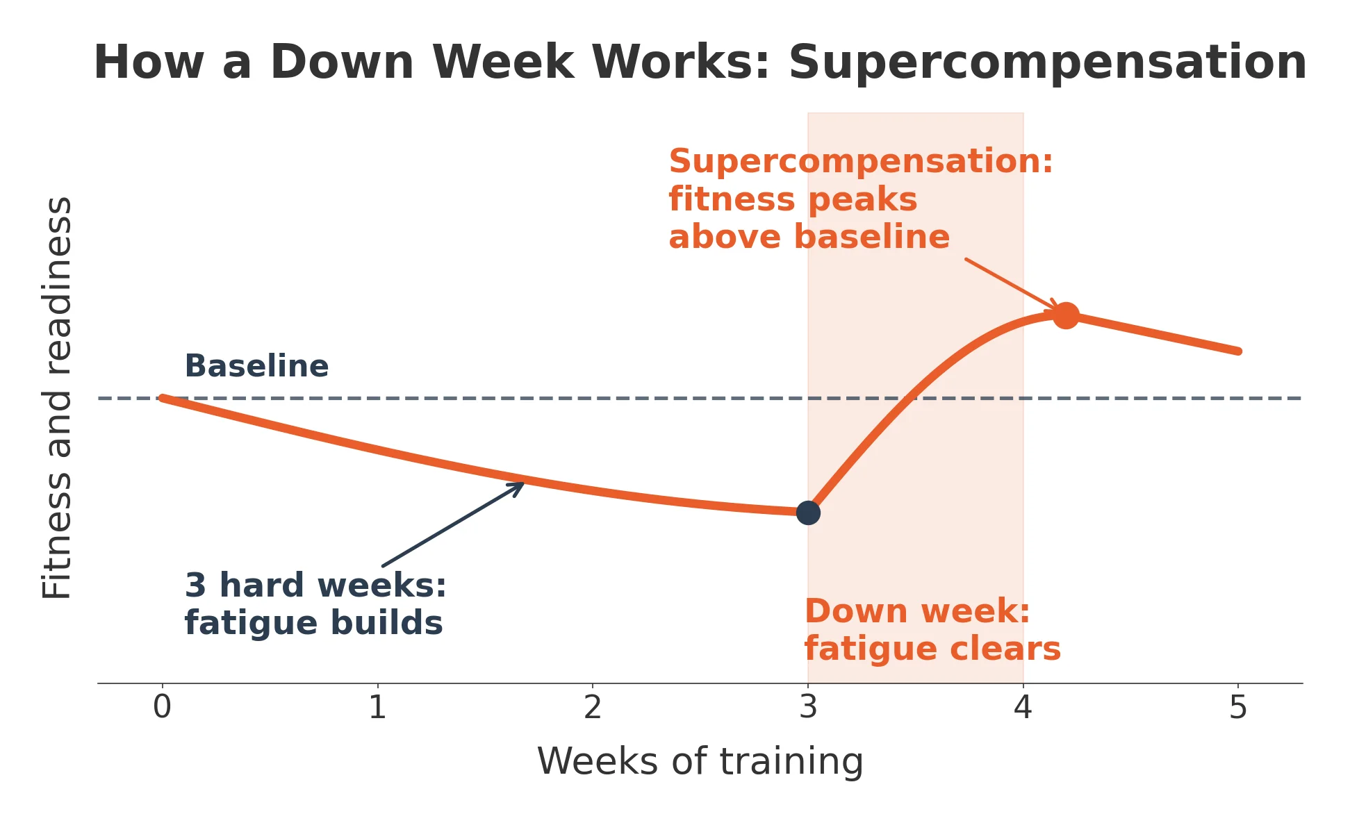 Supercompensation curve showing fitness dipping during three hard training weeks then peaking above baseline after a down week