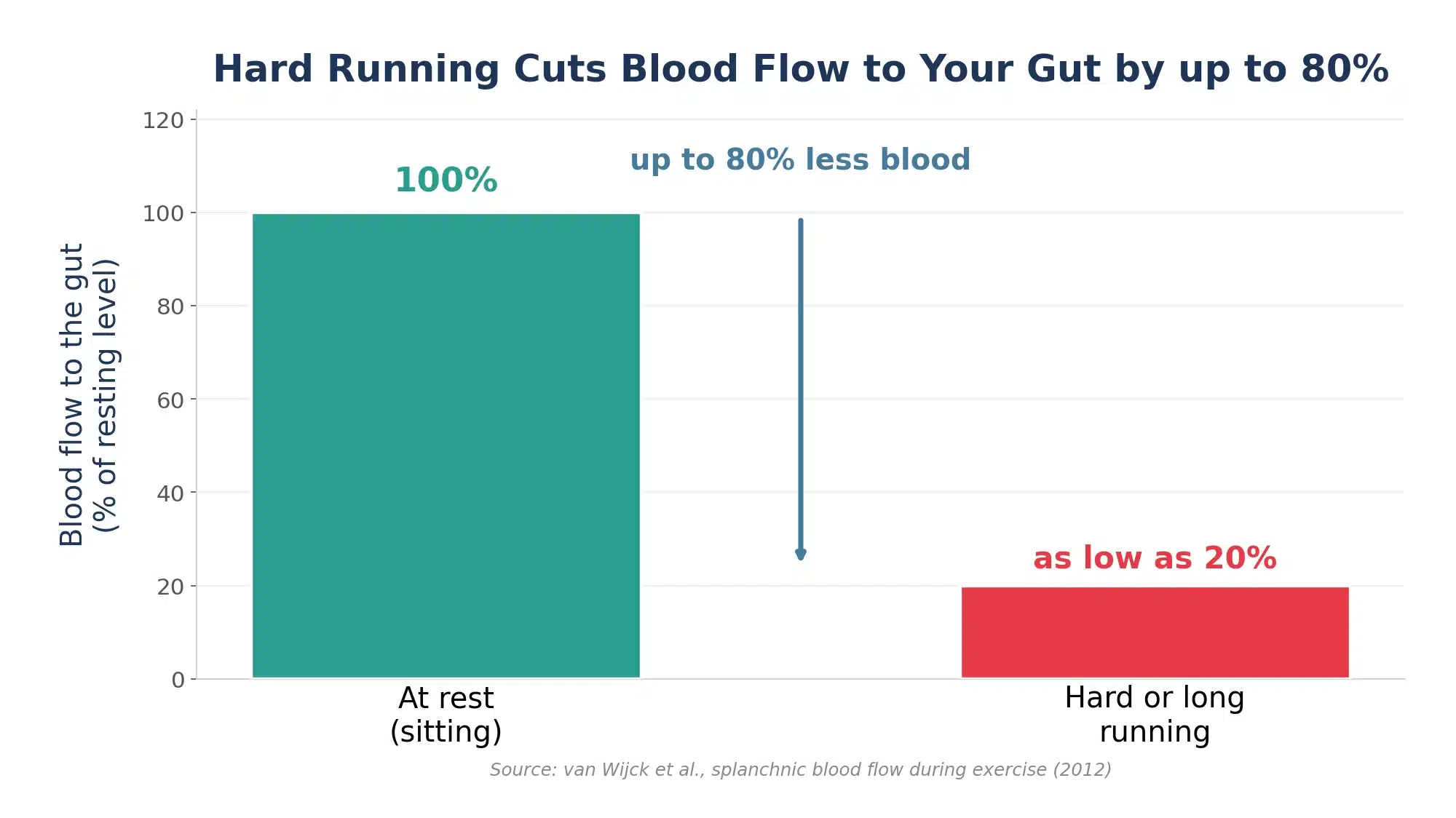 Bar chart showing blood flow to the gut drops from 100 percent at rest to as low as 20 percent during hard running, up to 80 percent less