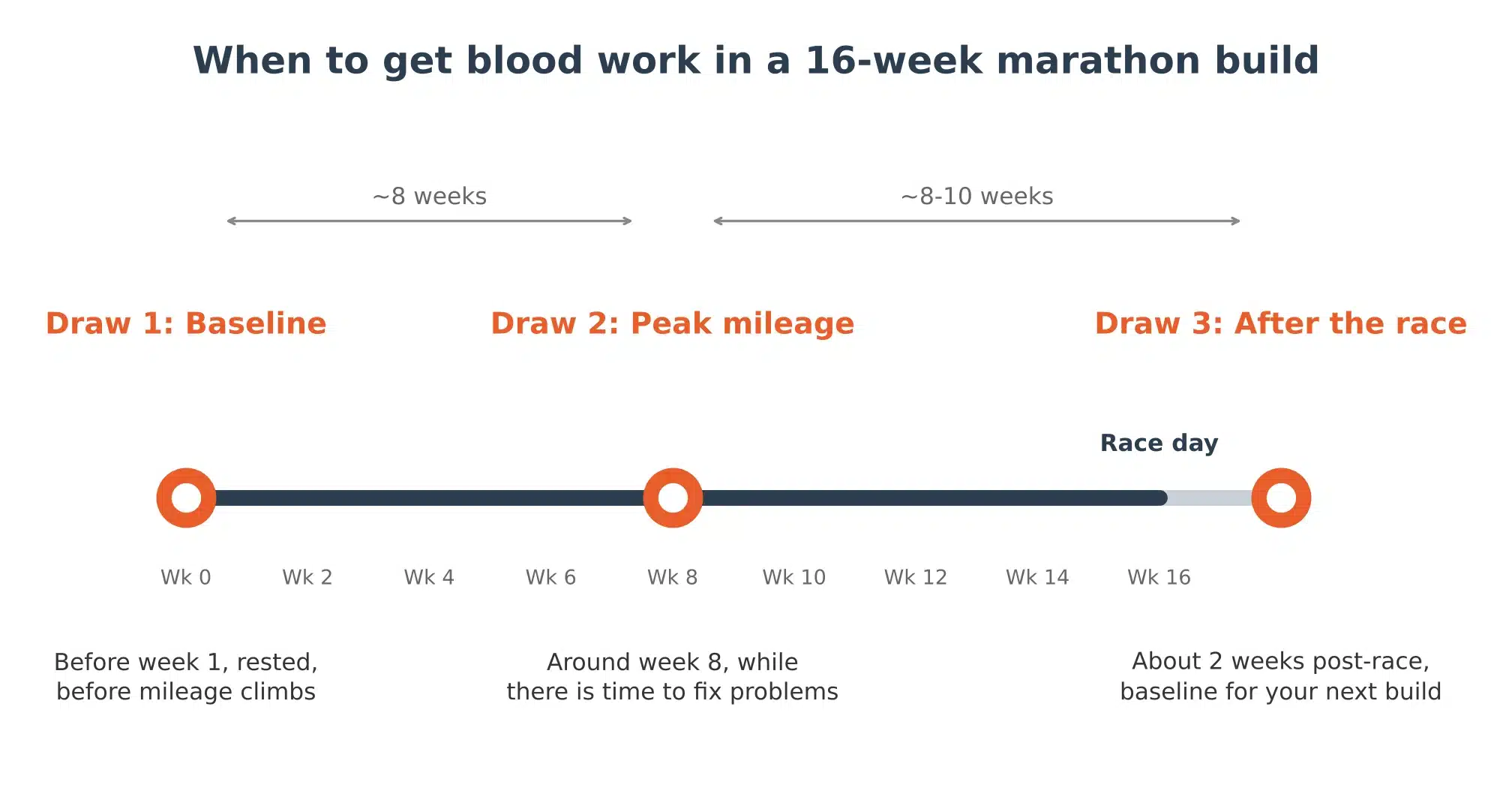 Timeline of a 16-week marathon build with blood draws before week 1, at week 8 and 2 weeks after the race