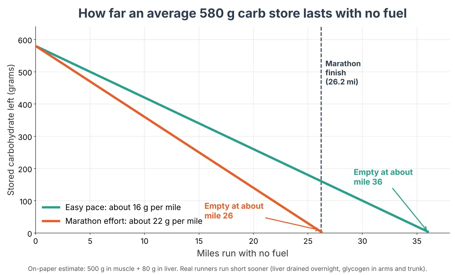 Line chart showing an average 580 g carbohydrate store running out at about mile 26 at marathon effort and about mile 36 at easy pace with no fuel