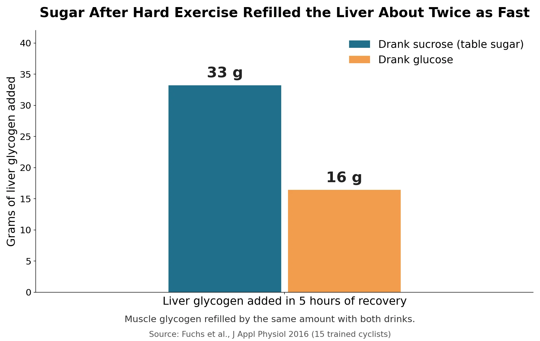 Bar chart: trained cyclists who drank sucrose (table sugar) after hard exercise added about 33 grams of liver glycogen in 5 hours, compared with about 16 grams when they drank glucose. Muscle glycogen refilled by the same amount with both drinks.